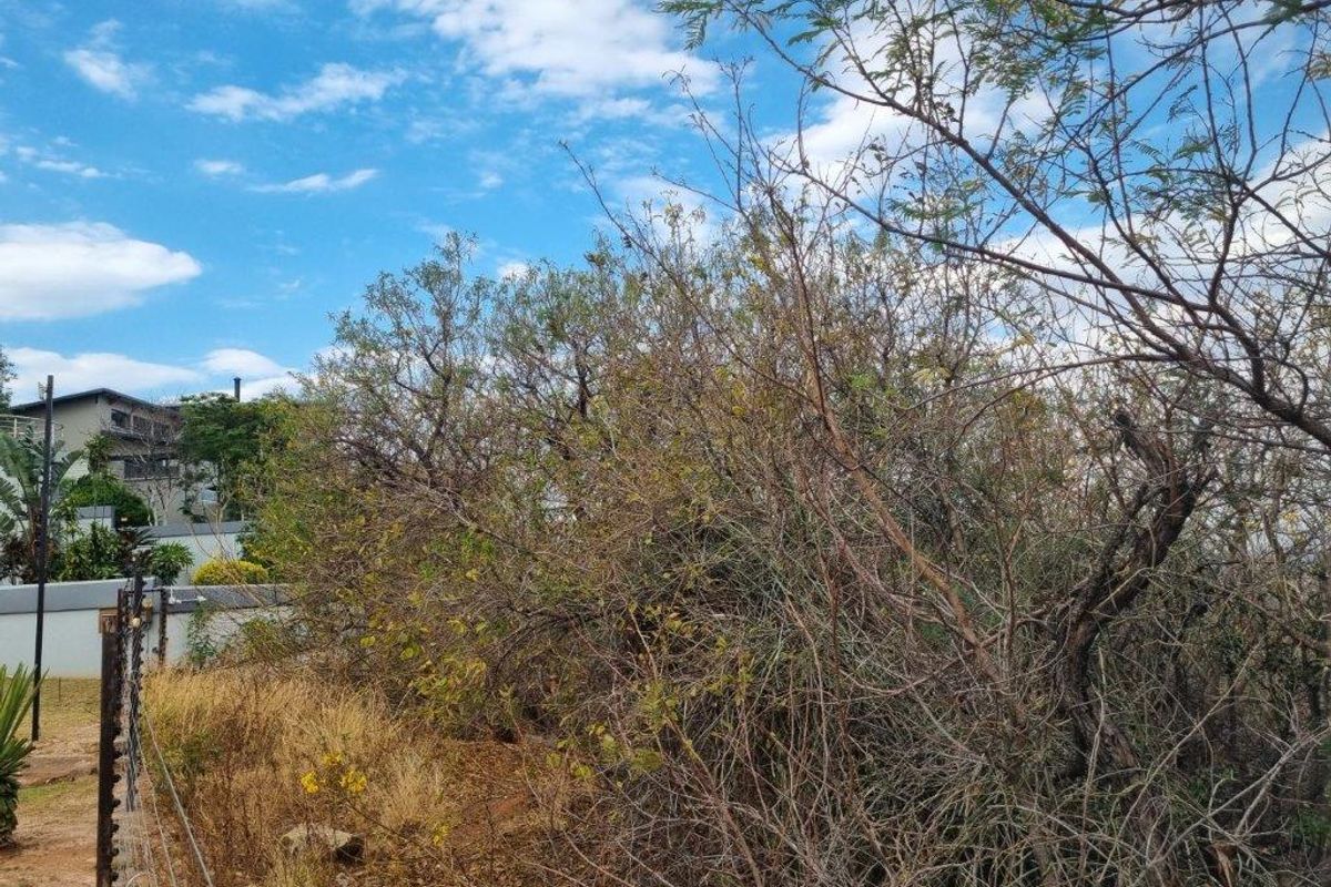 Cashan!! Prime Vacant Stands– A Dream Opportunity Awaits! - Photo 4
