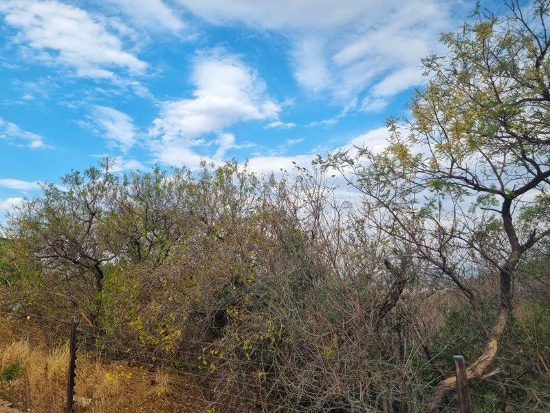 Cashan!! Prime Vacant Stands– A Dream Opportunity Awaits! - Photo 10