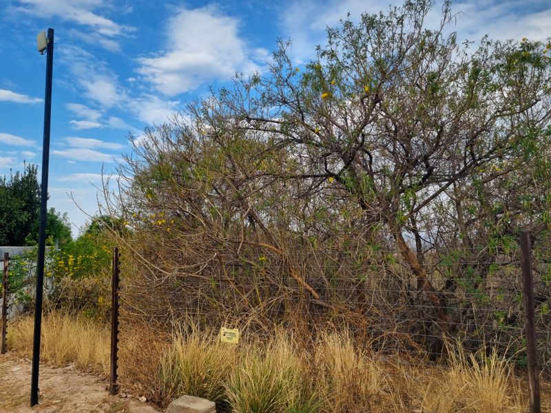 Cashan!! Prime Vacant Stands– A Dream Opportunity Awaits! - Photo 6