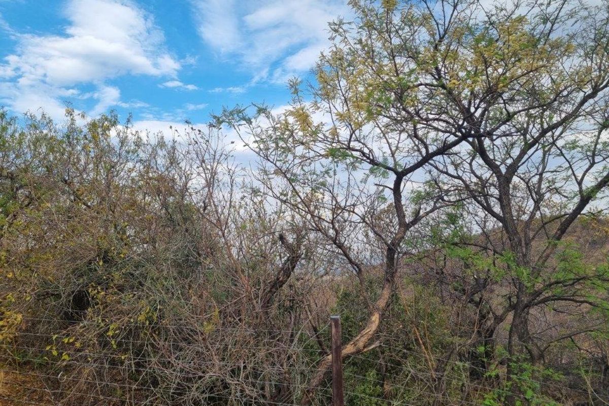 Cashan!! Prime Vacant Stands– A Dream Opportunity Awaits! - Photo 3