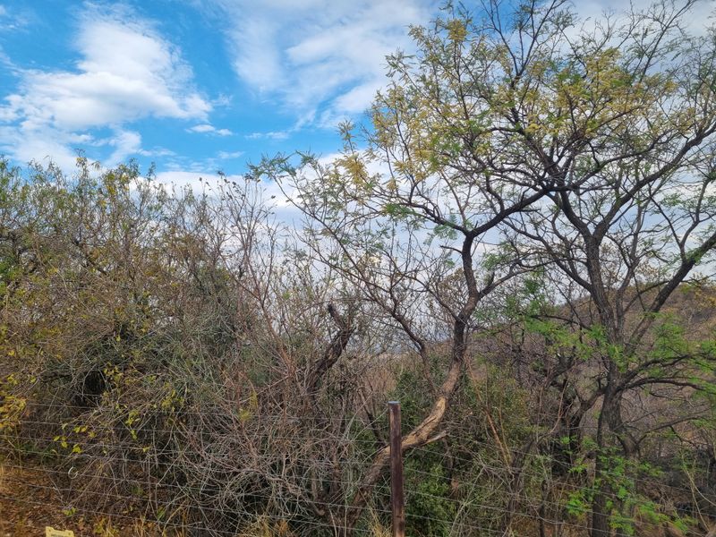 Cashan! - Prime vacant stand  with Stunning Views of Town and Mountains - Photo 10