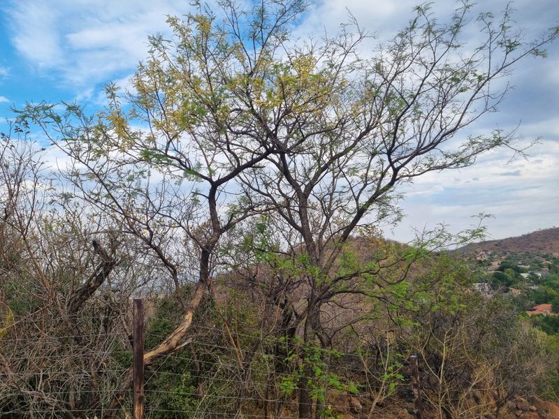 Cashan! - Prime vacant stand  with Stunning Views of Town and Mountains - Photo 7