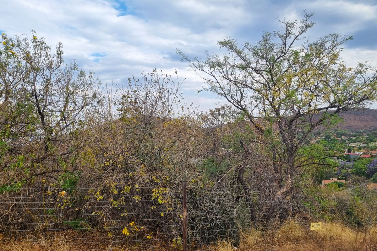 Cashan! - Prime vacant stand  with Stunning Views of Town and Mountains - Photo 4
