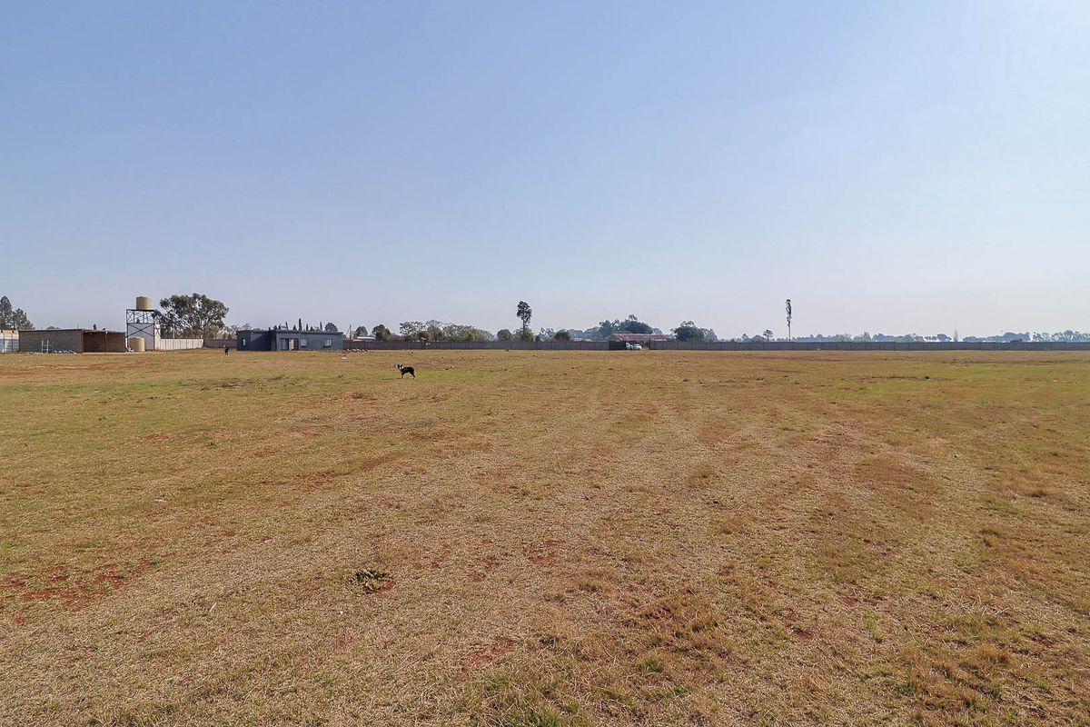 Modern Family Living with Agricultural Opportunity – Fully Walled and Gated - Photo 4