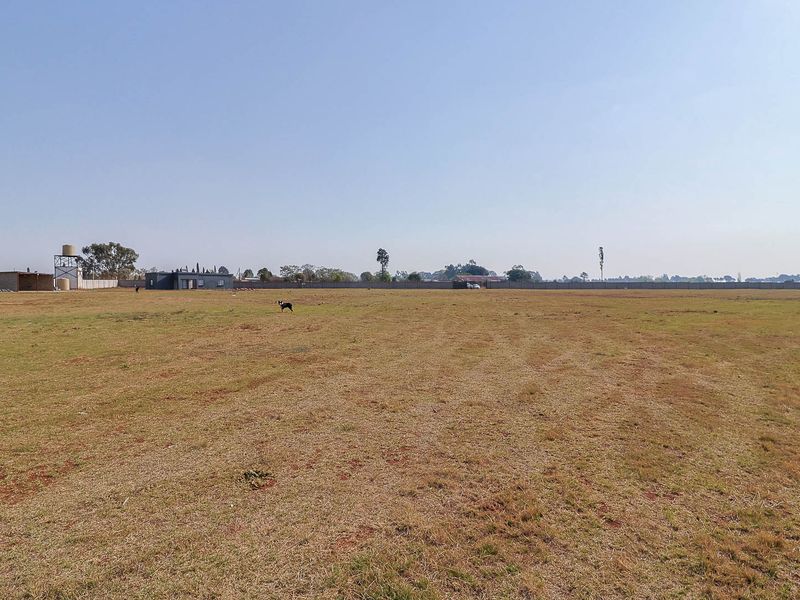 Modern Family Living with Agricultural Opportunity – Fully Walled and Gated - Photo 4