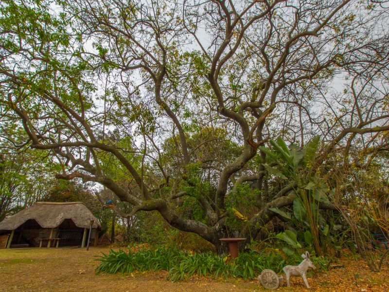 Endless possibilities - Photo 9