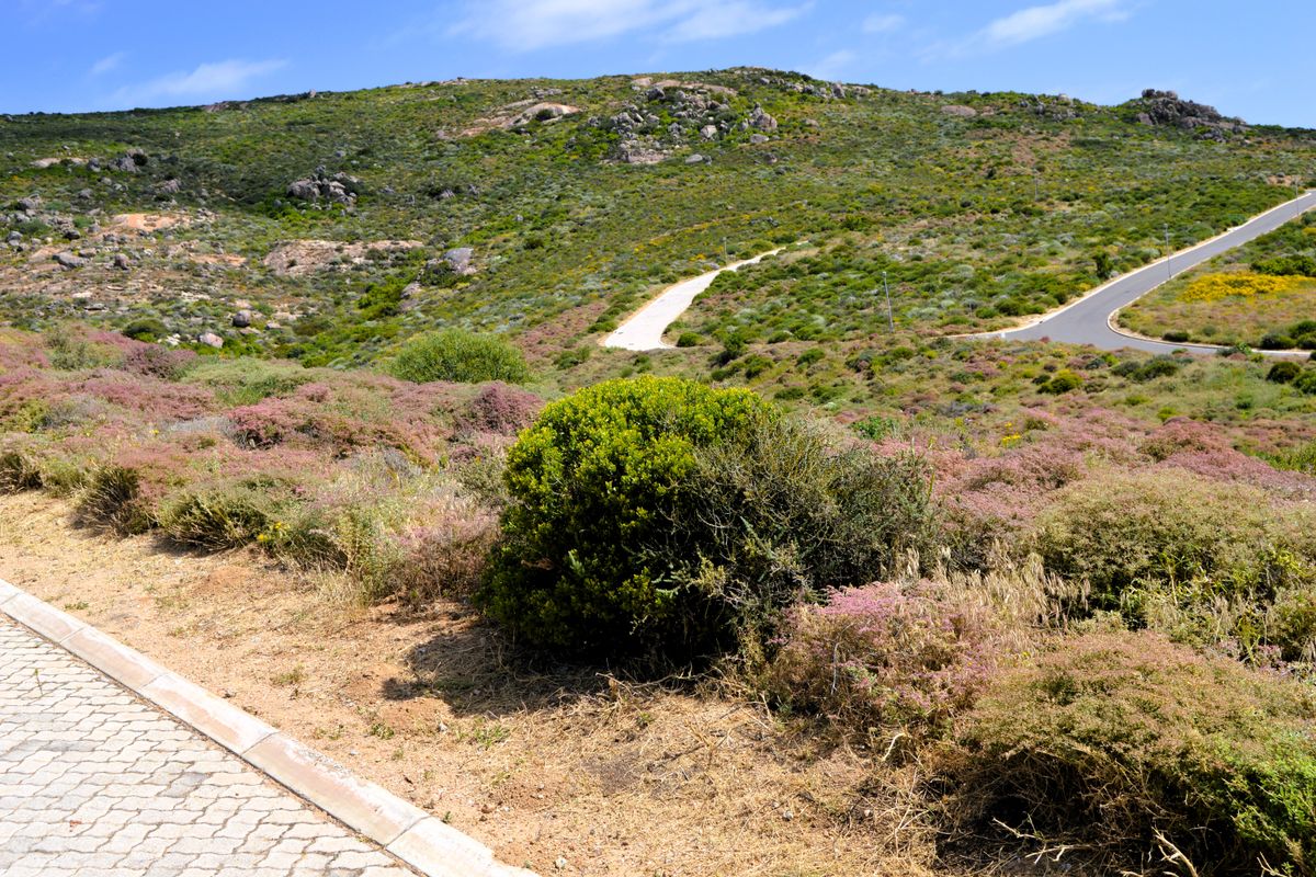 Not to be missed!!! A 338m2 Erf @ R499 000-00 in Steenbergs Cove St Helena Bay. - Photo 2