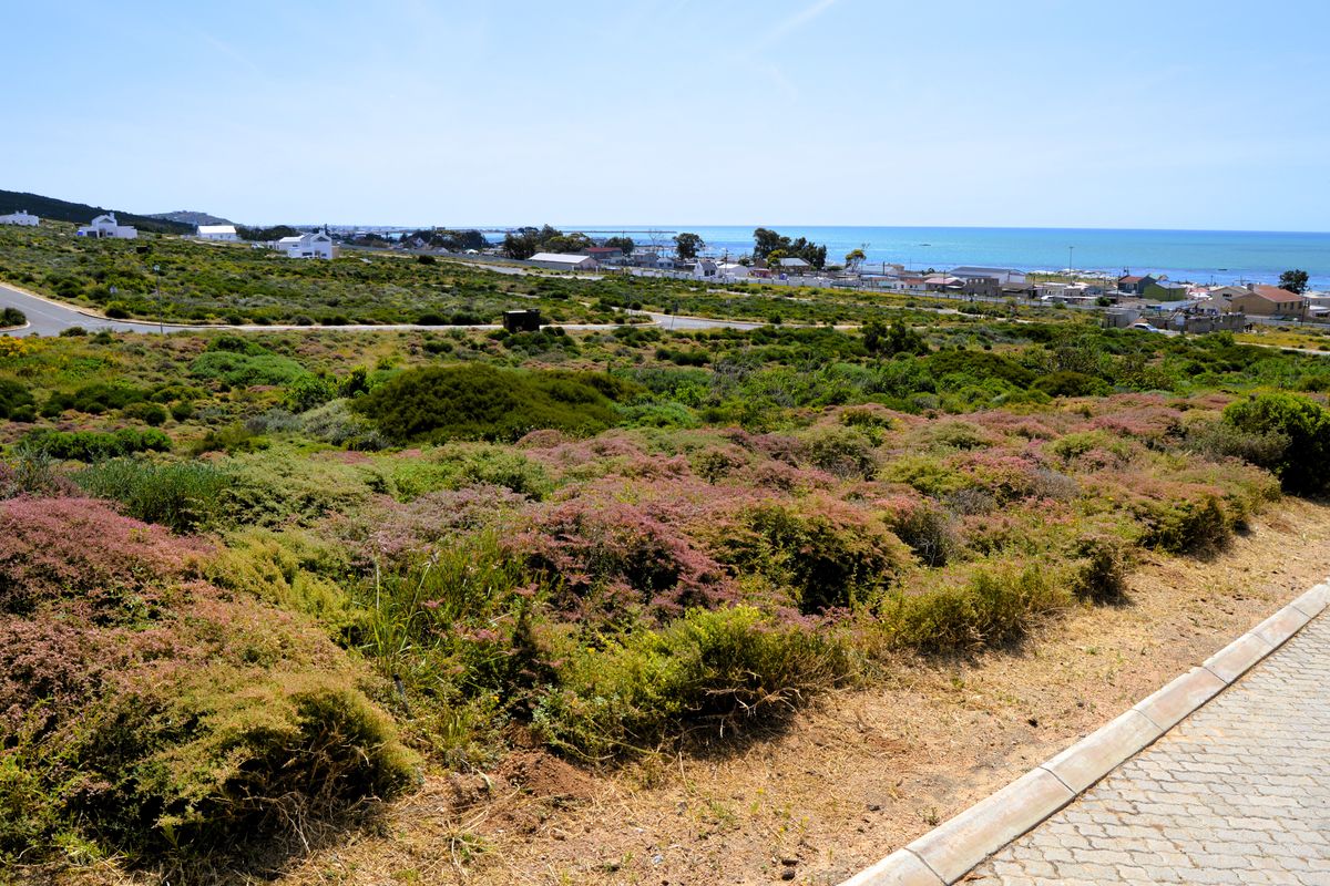 Not to be missed!!! A 338m2 Erf @ R499 000-00 in Steenbergs Cove St Helena Bay. - Photo 4