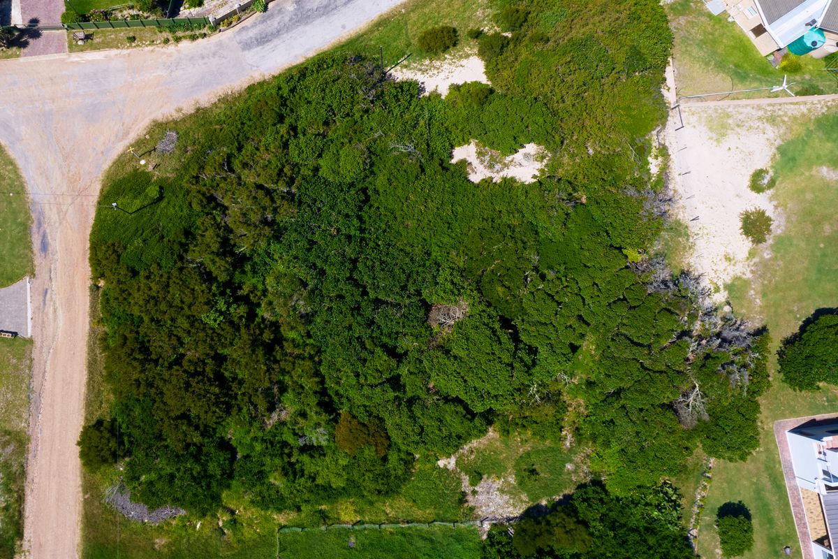 A Piece of Paradise just Steps from the Beach - Photo 5