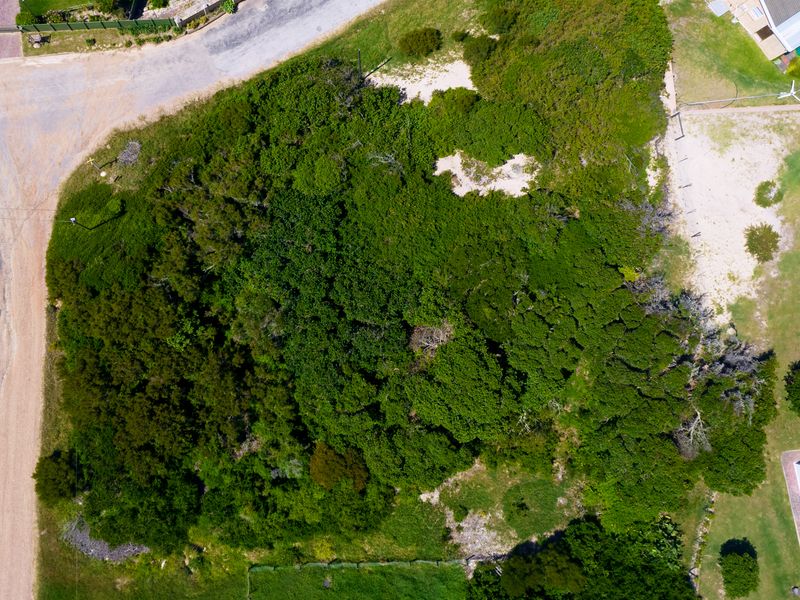 A Piece of Paradise just Steps from the Beach - Photo 5