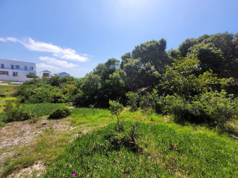 A Piece of Paradise just Steps from the Beach - Photo 10