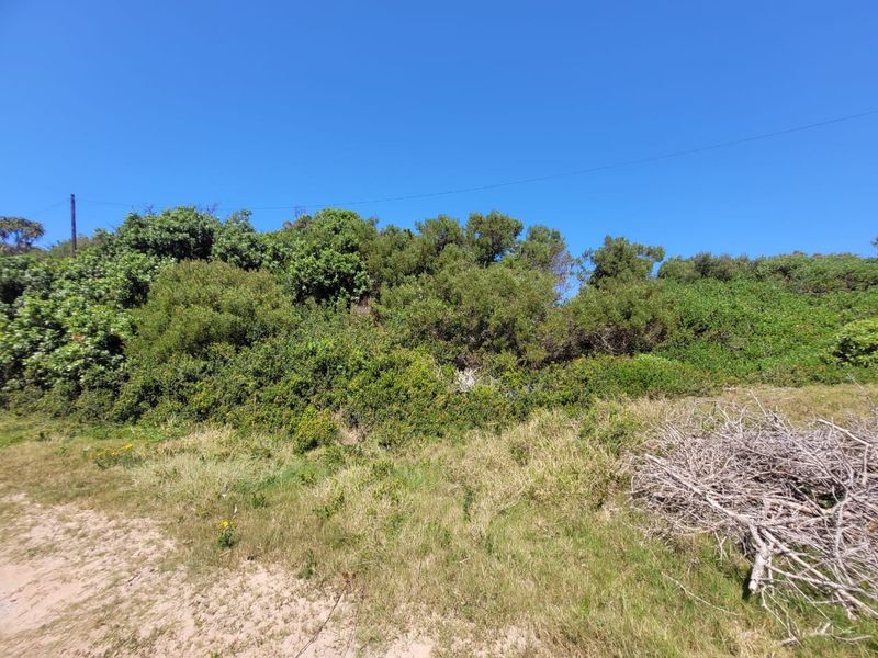 A Piece of Paradise just Steps from the Beach - Photo 9