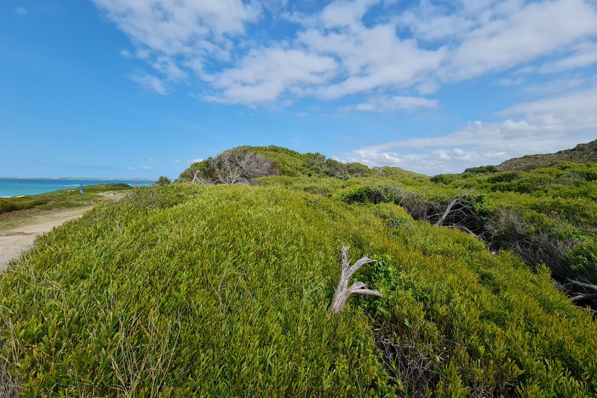 Exclusive Vacant Stand with Uninterrupted Views in Paradise Beach, Jeffreys Bay - Photo 5