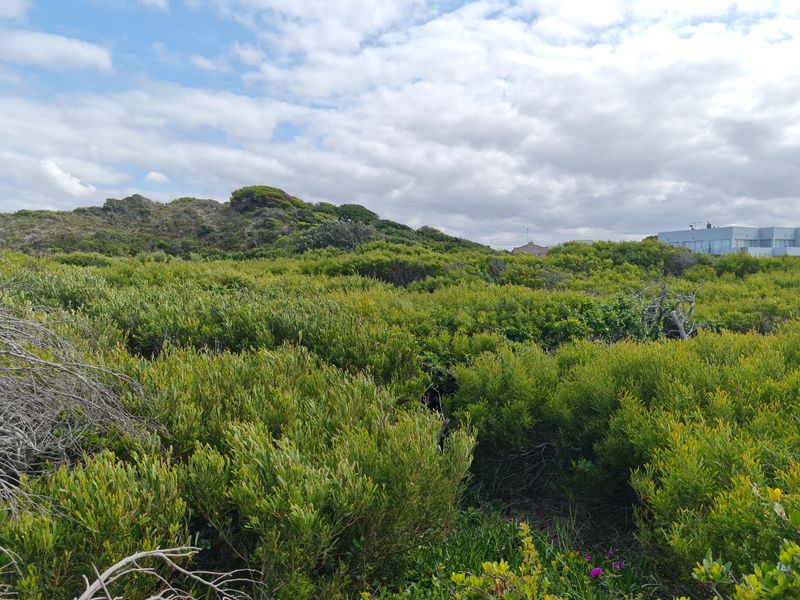 Exclusive Vacant Stand with Uninterrupted Views in Paradise Beach, Jeffreys Bay - Photo 7