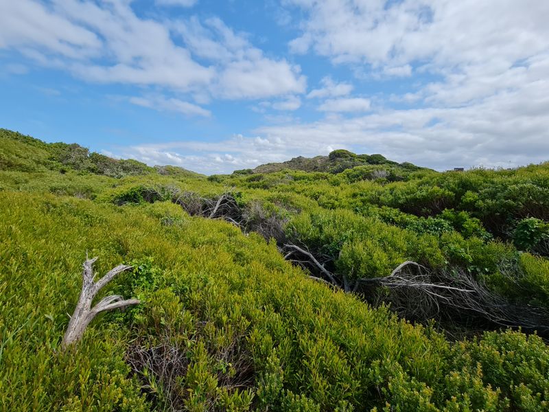 Exclusive Vacant Stand with Uninterrupted Views in Paradise Beach, Jeffreys Bay - Photo 6
