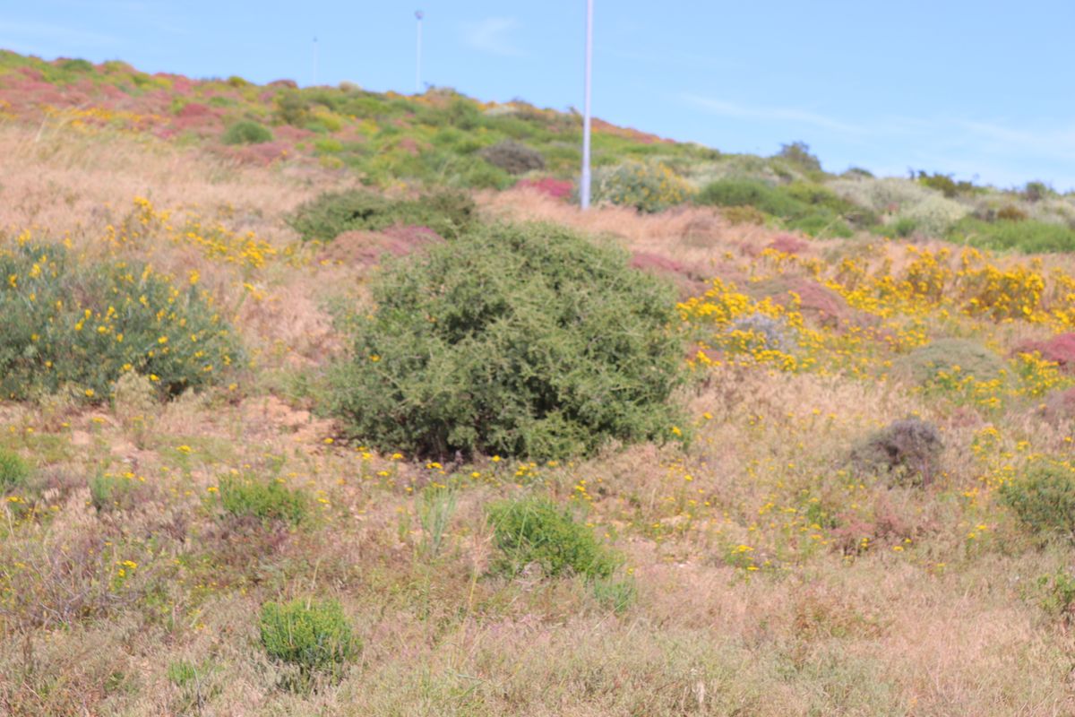 Vacant land for Sale in Steenberg Cove, St Helena Bay - Photo 2