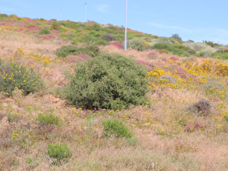 Vacant land for Sale in Steenberg Cove, St Helena Bay - Photo 2
