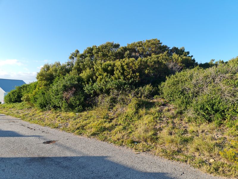 Beautiful Elevated Vacant Stand with Views in Paradise Beach, Jeffreys Bay - Photo 7