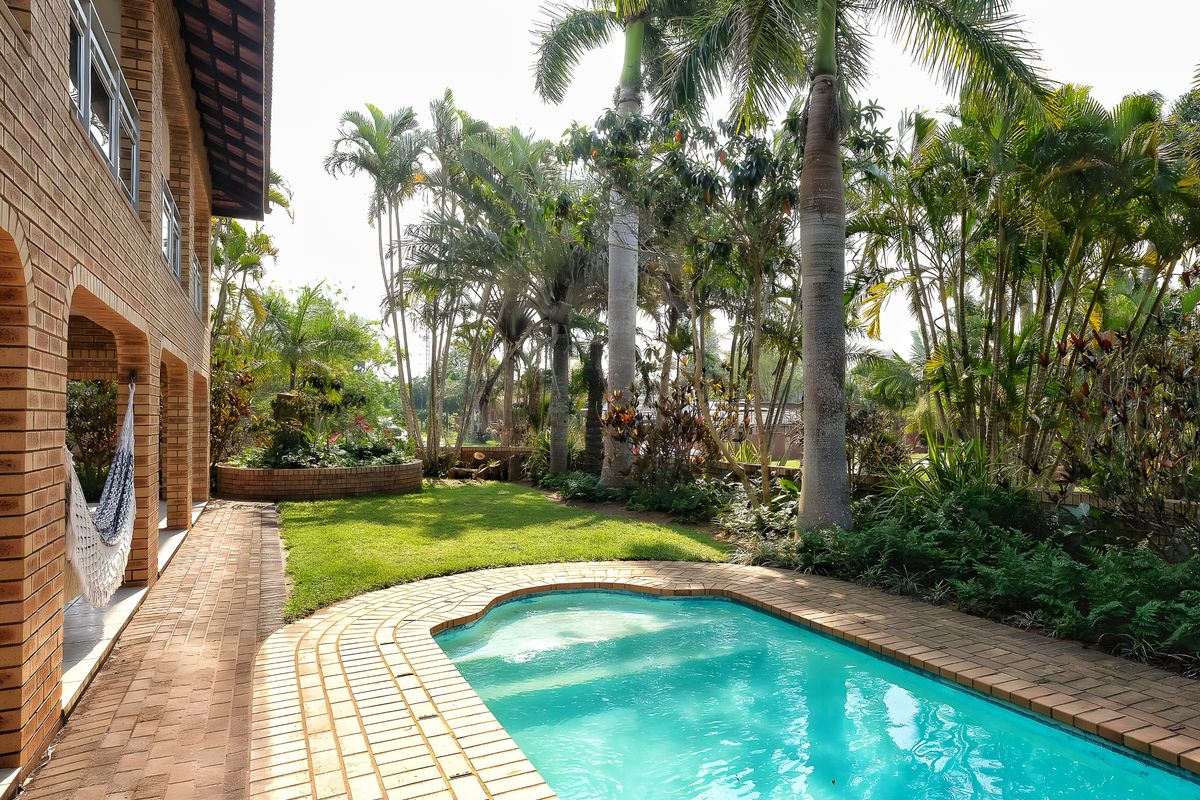 Live Large in Paradise - Photo 2