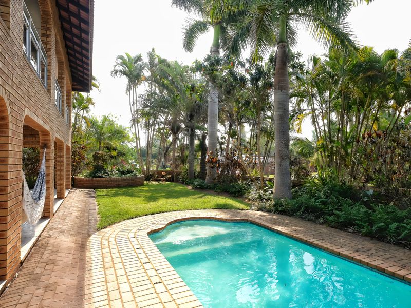 Live Large in Paradise - Photo 2