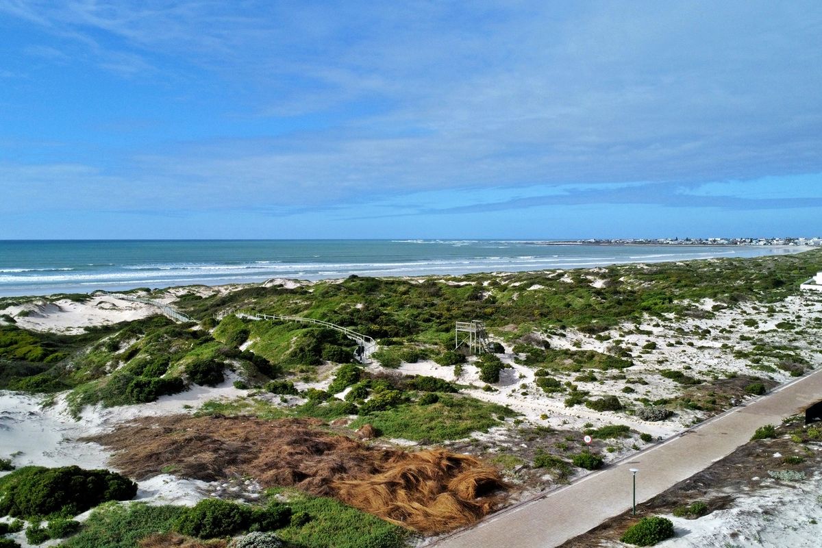 Magnificent Beach Front Living - Photo 2