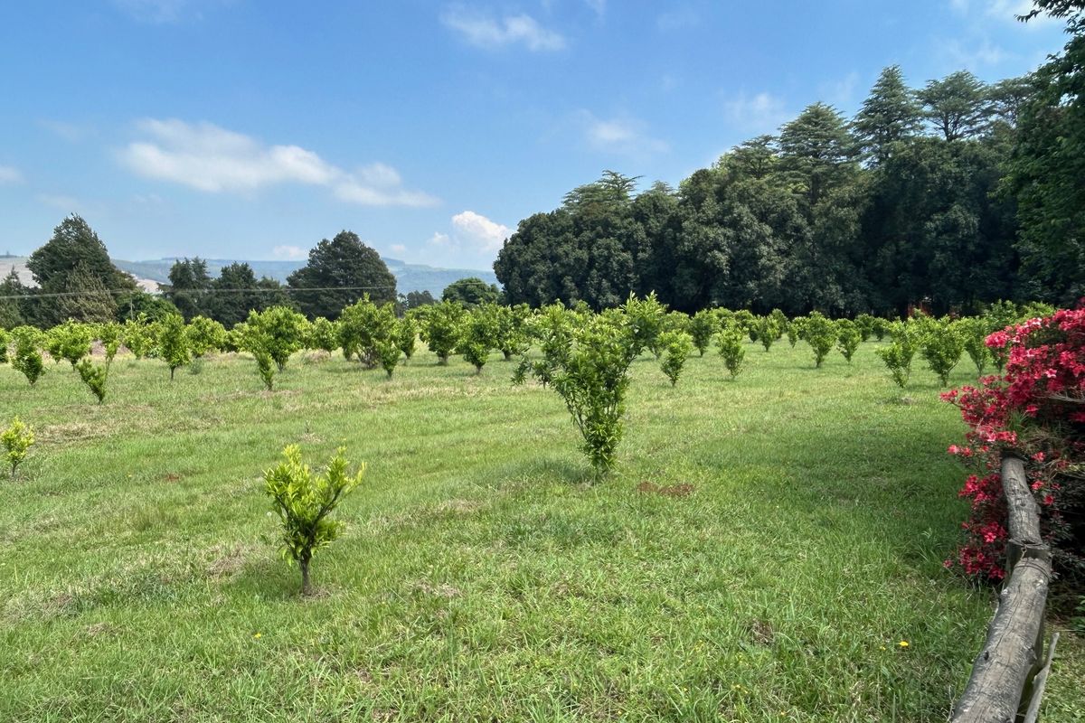 Historic Midlands Homestead on Versatile Smallholding - Photo 4