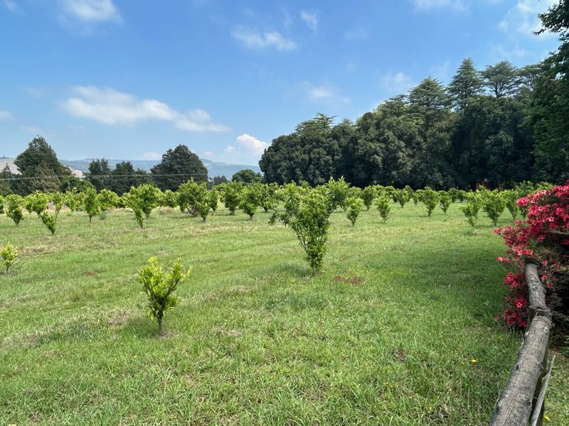 Historic Midlands Homestead on Versatile Smallholding - Photo 4