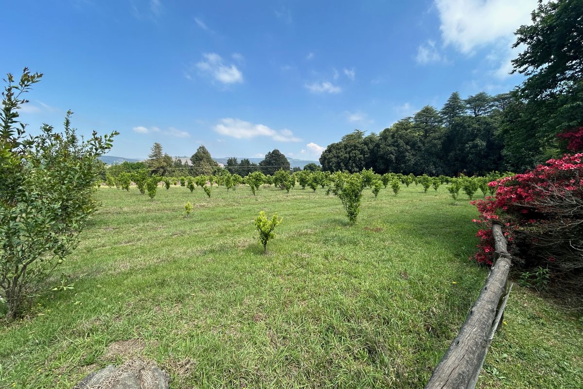 Historic Midlands Homestead on Versatile Smallholding - Photo 5