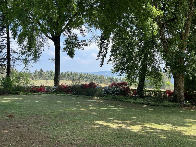Historic Midlands Homestead on Versatile Smallholding - Photo 9
