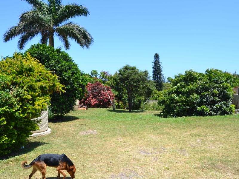 Large property with lots of potential! - Photo 2