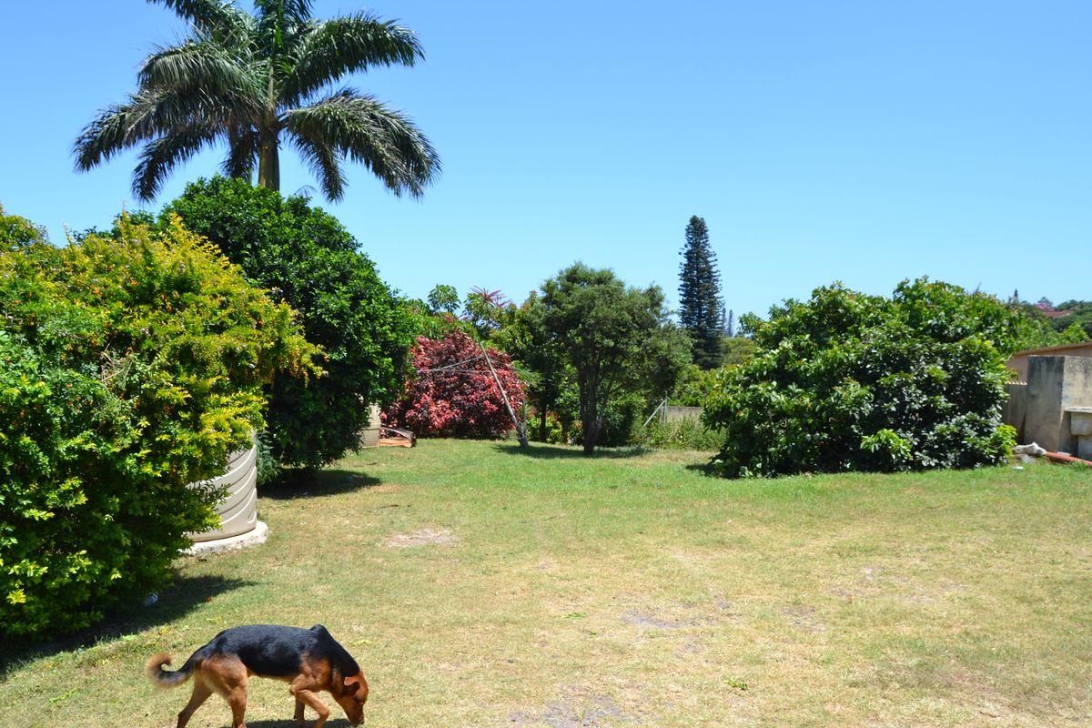 Large property with lots of potential! - Photo 2