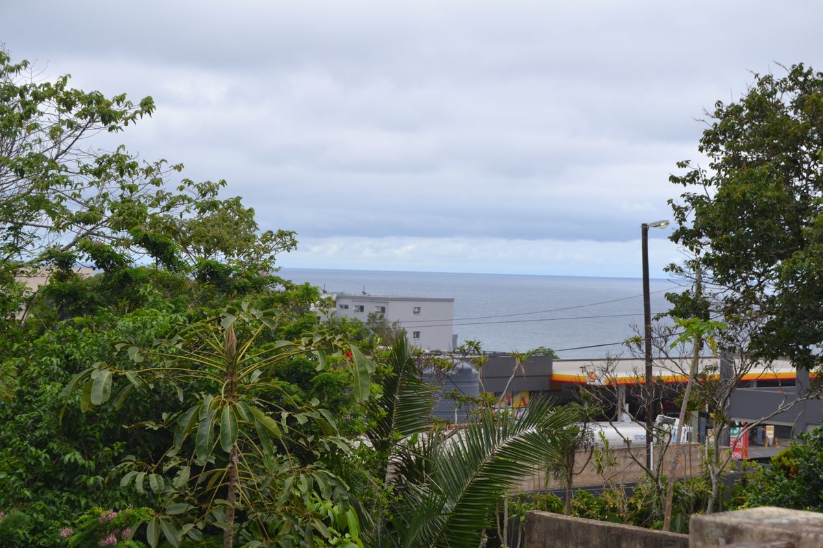 Large property with lots of potential! - Photo 4