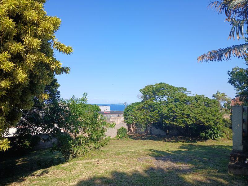 Large property with lots of potential! - Photo 4