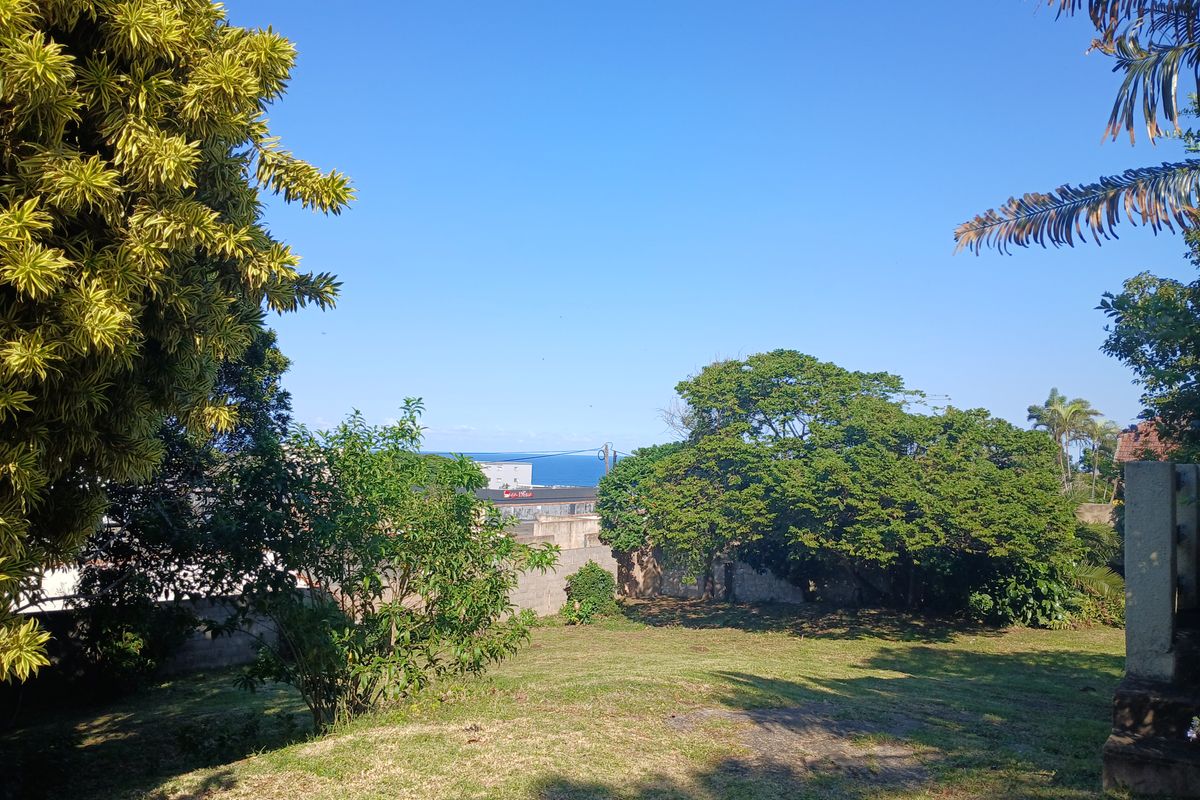 Large property with lots of potential! - Photo 4