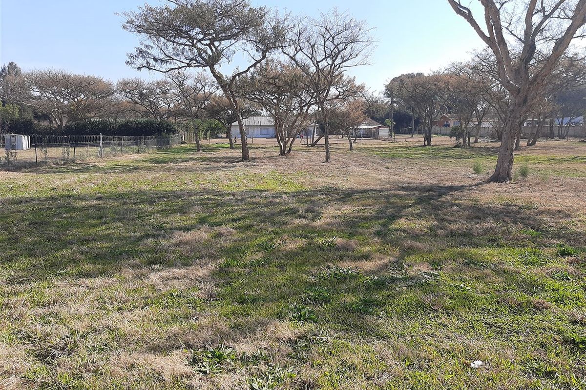 A spacious, level residential plot featuring established trees and perimeter fencing, offering a blank canvas for future development.