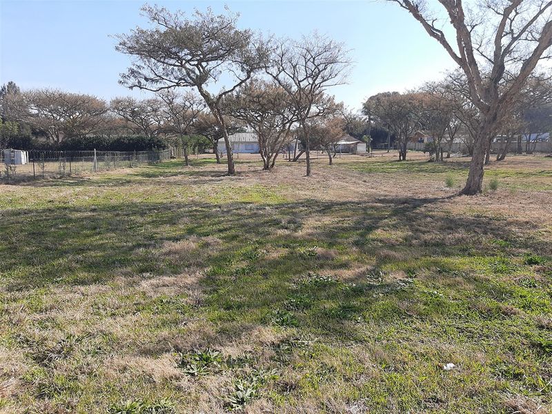 A spacious, level residential plot featuring established trees and perimeter fencing, offering a blank canvas for future development.