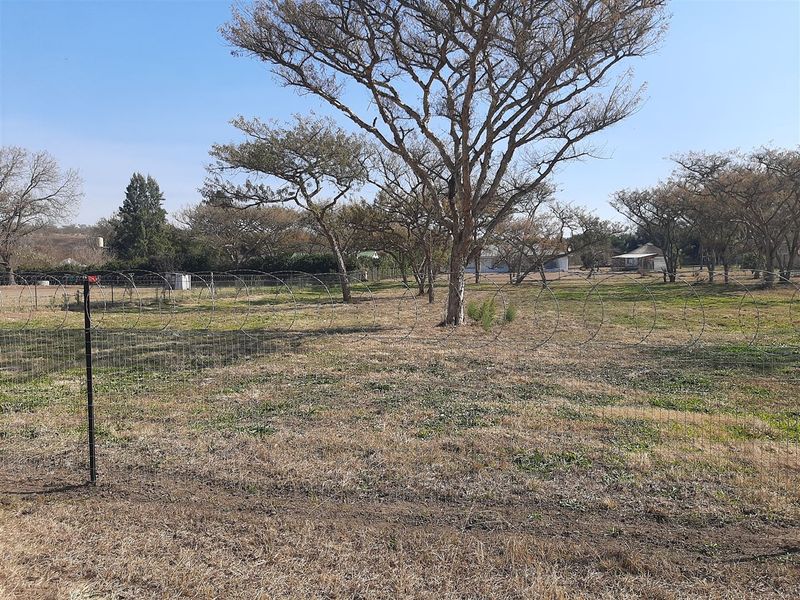 A view of a vacant residential plot featuring mature trees and secured with wire mesh and razor wire fencing.