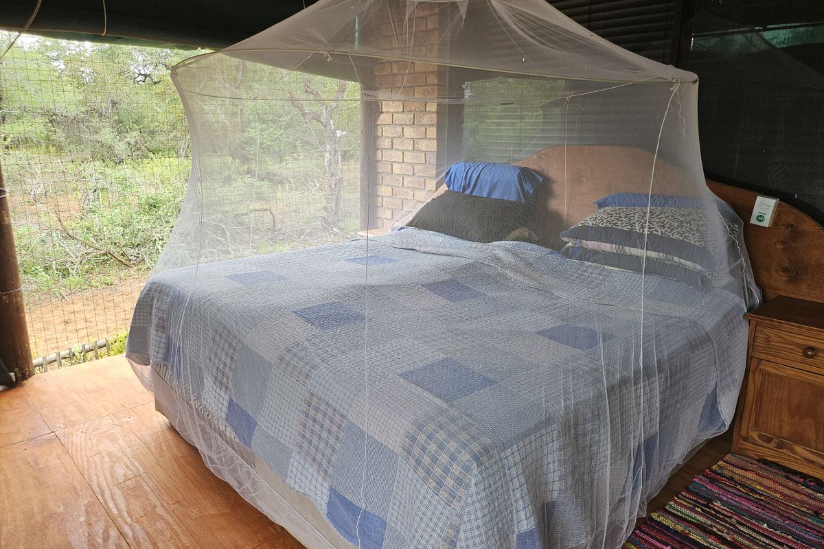 A rustic bedroom featuring exposed brick walls, plywood flooring, and a mesh enclosure overlooking the natural surroundings.