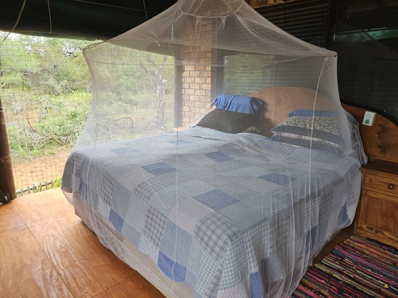 Walking Distance to the River - Photo 9