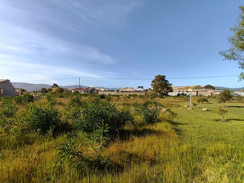 Large stand for sale in Fisherhaven. - Photo 9