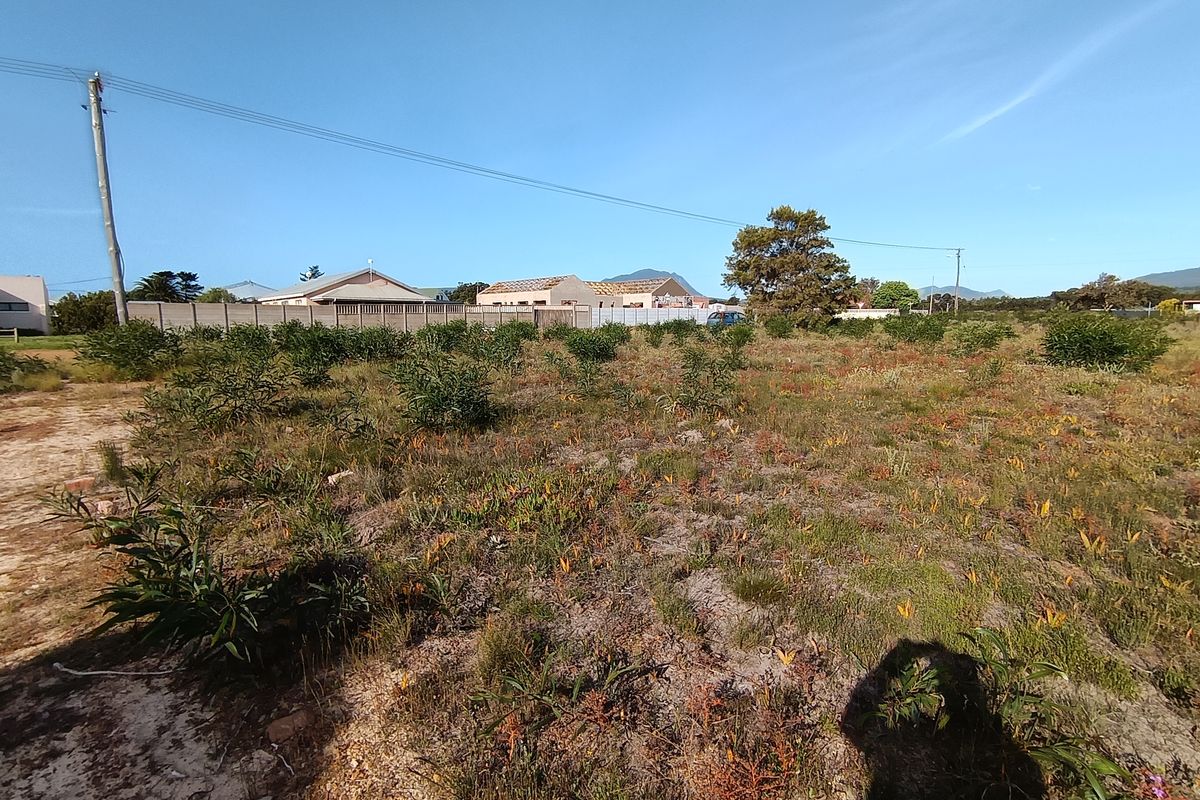 Large stand for sale in Fisherhaven. - Photo 5