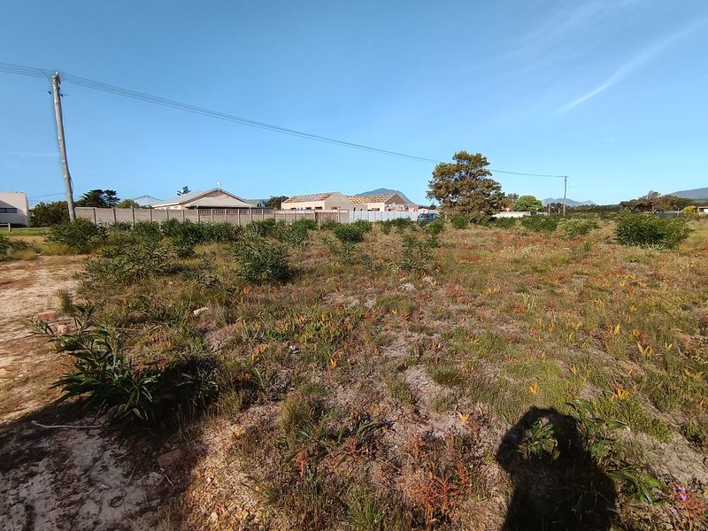 Large stand for sale in Fisherhaven. - Photo 5