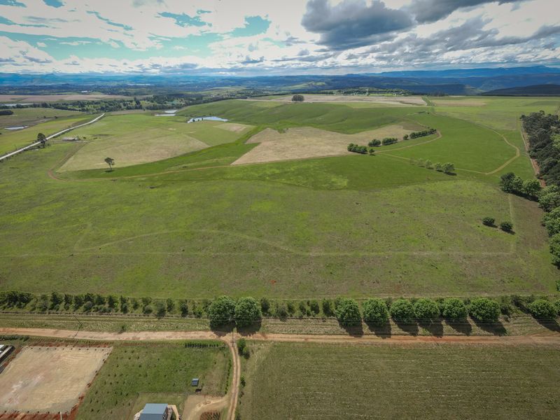 An expansive aerial view of a large, open residential land parcel featuring rolling green pastures, established tree lines, and access via a dirt road.
