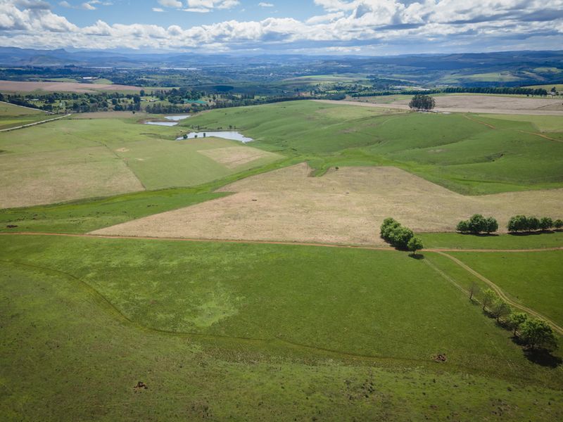 Presenting Jersey Village within The Dairy Estate at Hilton - Photo 10