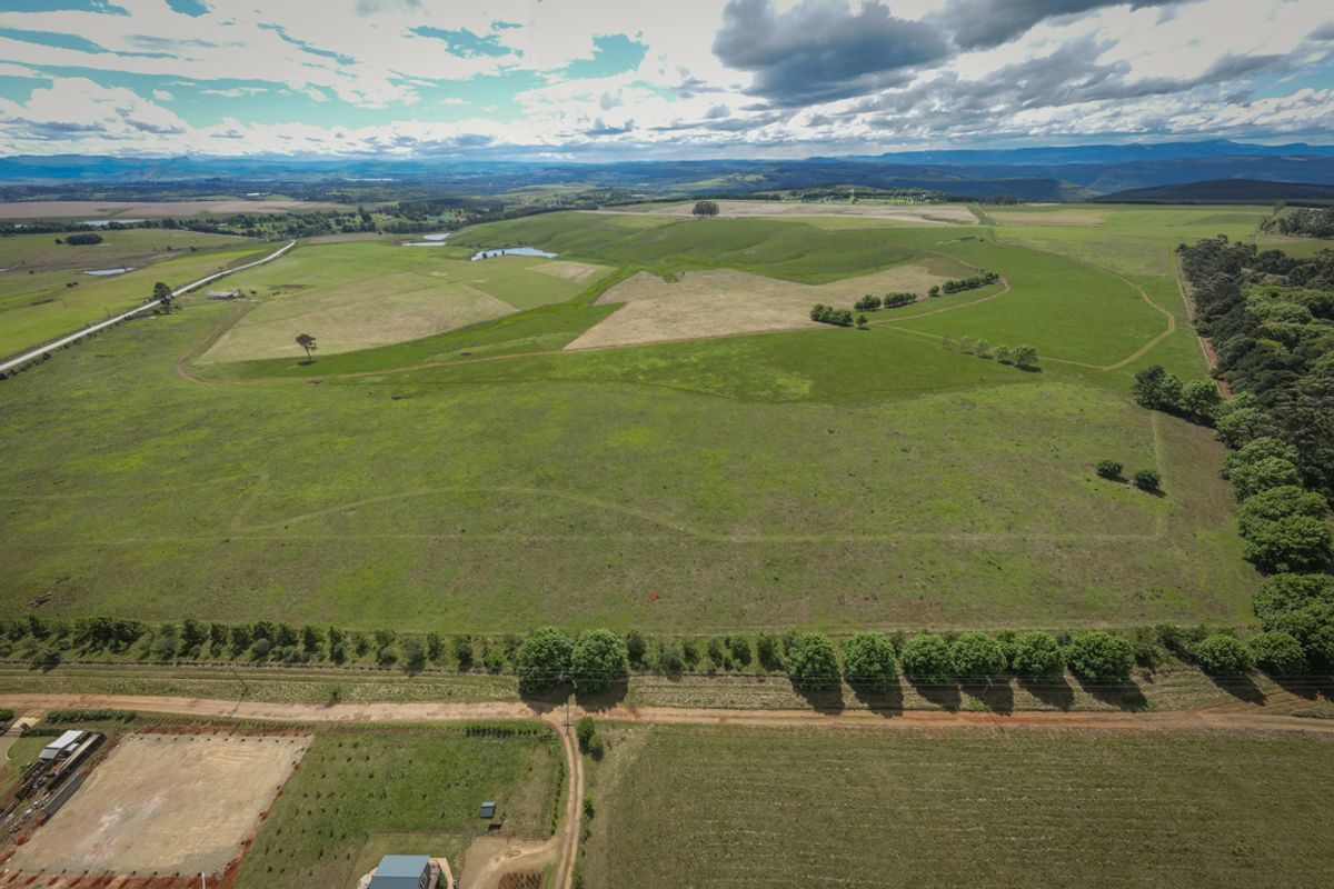An expansive aerial view of a large, open residential vacant land plot featuring rolling green pastures, established tree lines, and access road frontage.