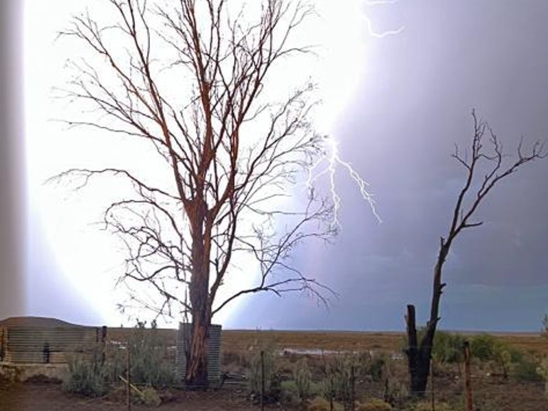 Gesogte Karoo Plaas: Calvinia - Photo 4