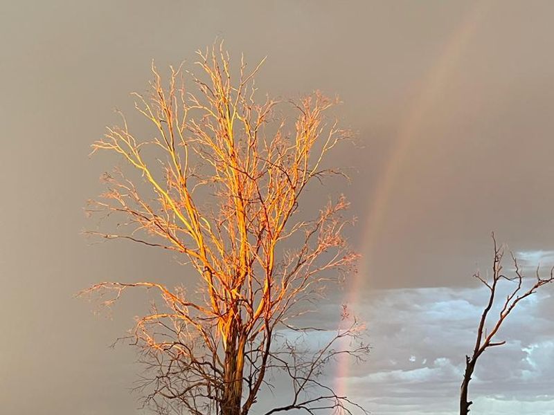 Gesogte Karoo Plaas: Calvinia - Photo 7