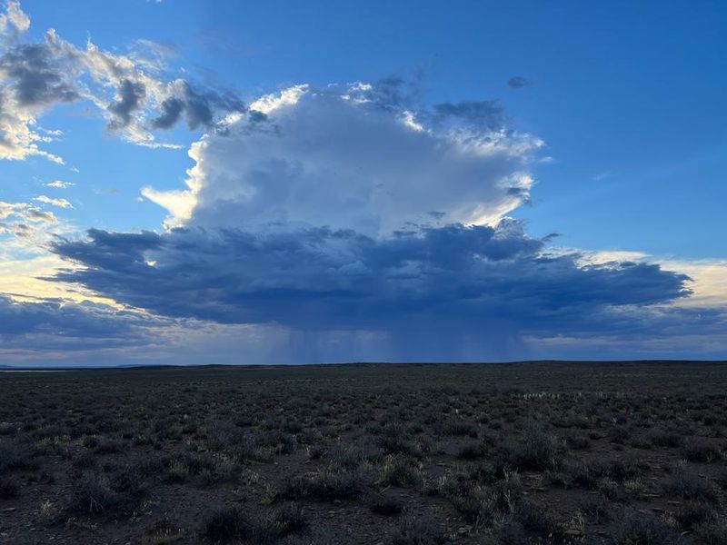 Gesogte Karoo Plaas: Calvinia - Photo 5