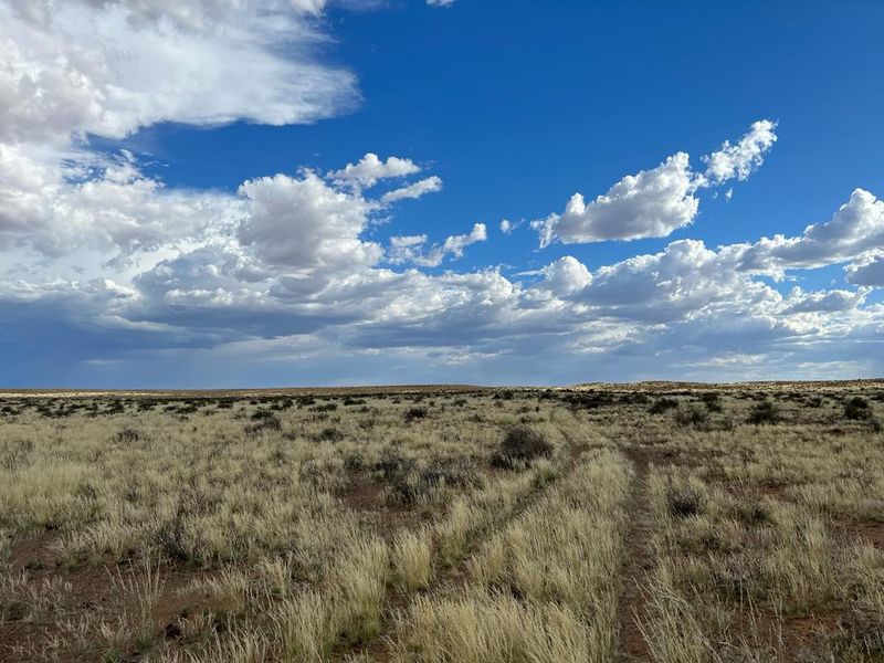 Gesogte Karoo Plaas: Calvinia - Photo 6