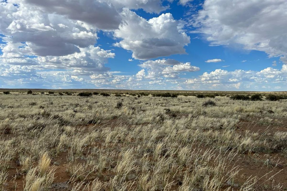 Gesogte Karoo Plaas: Calvinia - Photo 3